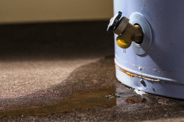 Best Mold removal after water damage  in Red Bank, TN