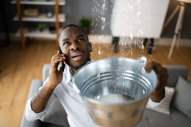 Best Water damage restoration near me  in Red Bank, TN