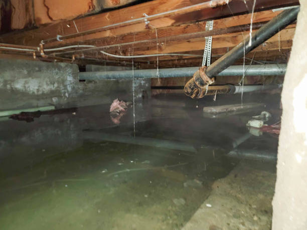 , TN Water damage restoration Company