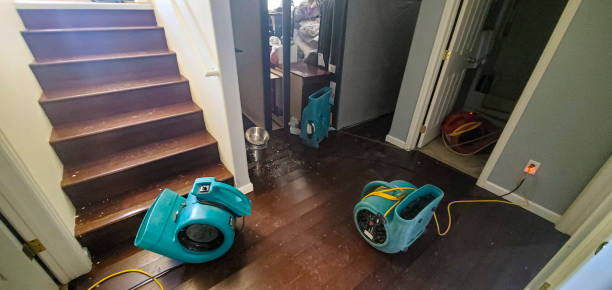 Best Fire Damage Restoration  in Red Bank, TN