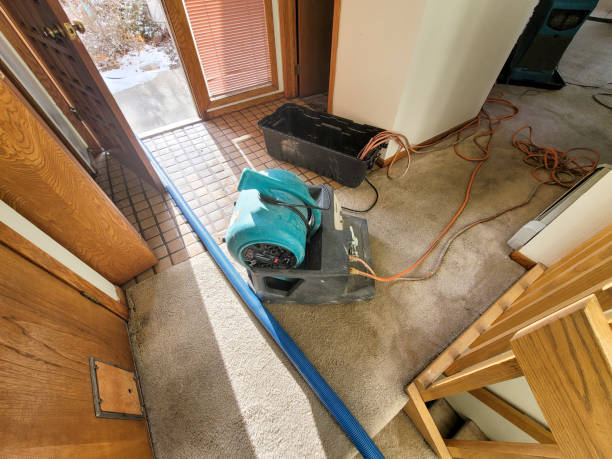  Red Bank, TN Water damage restoration Pros