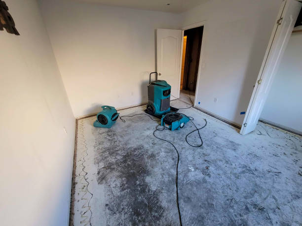 Best 24-hour water damage restoration  in Red Bank, TN