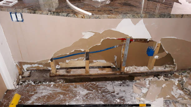 Best Professional water damage repair  in Red Bank, TN