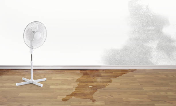 Red Bank, TN Water damage restoration Pros