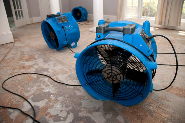 Best Local water damage restoration  in Red Bank, TN