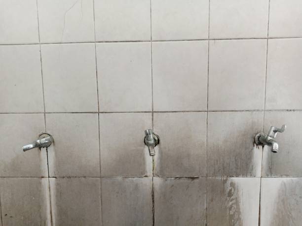 Best Water damage restoration near me  in Red Bank, TN