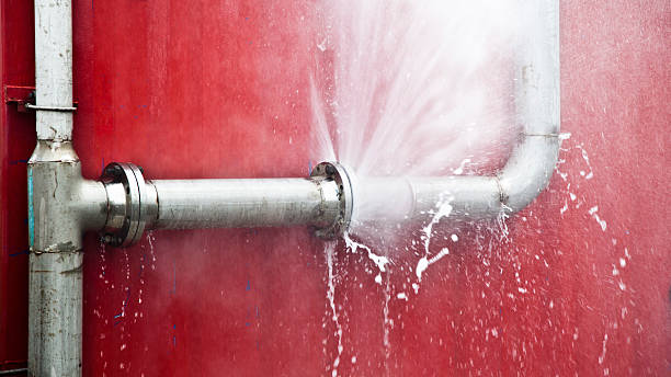 Best Carpet water damage restoration  in Red Bank, TN